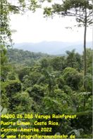 44200 26 038 Veruga Rainforest, Puerto Limon, Costa Rica, Central-Amerika 2022.jpg